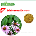 Echinacea Extract with Polyphenol powder